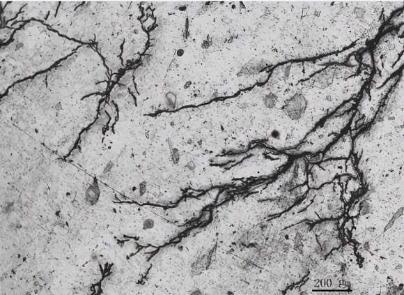 控制304jbo官网管发生硫化氢应力腐蚀开裂的方法