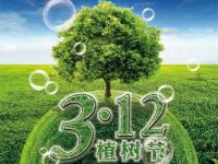 义务植树,放下木材,提倡jbo官网装饰管!